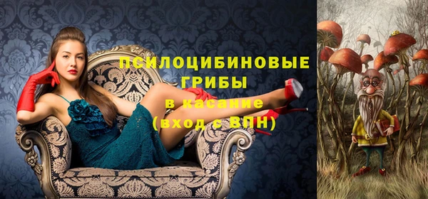 бошки Зеленодольск