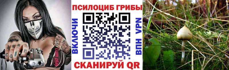 Купить закладки  Ливны  Галлюциногенные грибы мухоморы 